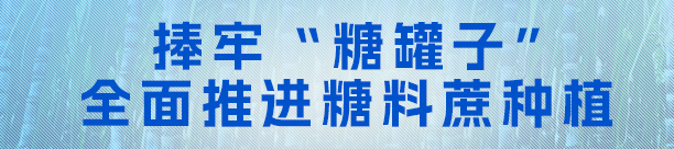 捧牢“糖罐子”，全面推进糖料蔗种植