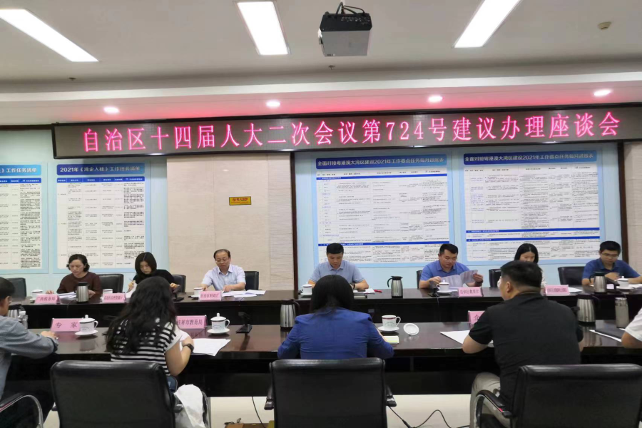 自治区发展改革委组织召开人大建议办理座谈会.png